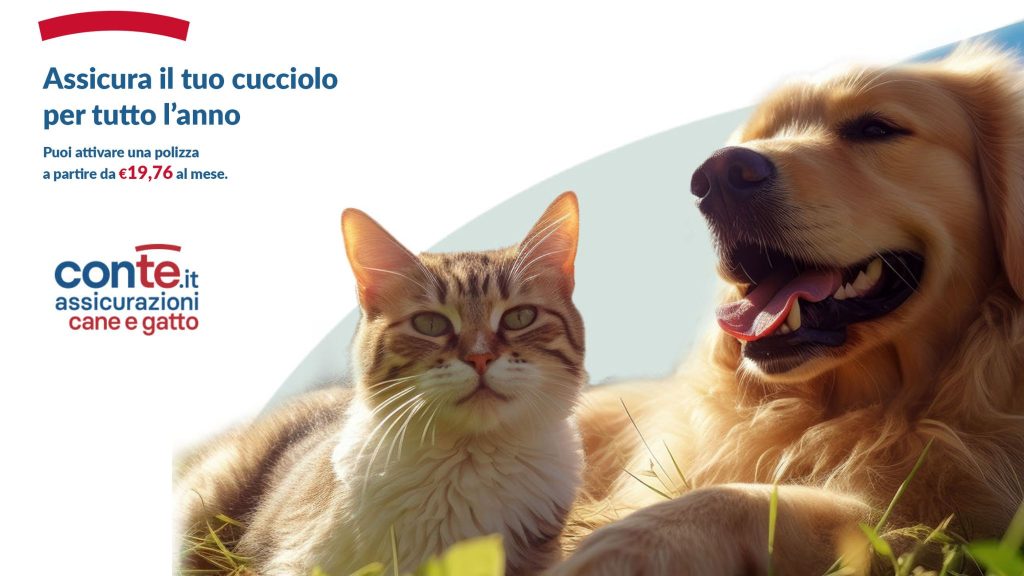 Cane e gatto protetti da assicurazione ConTe.it a partire da 19,76 euro al mese